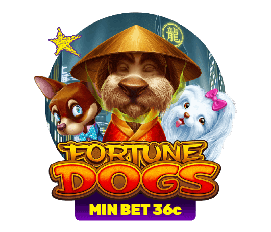 FortuneDogs main thumbnail