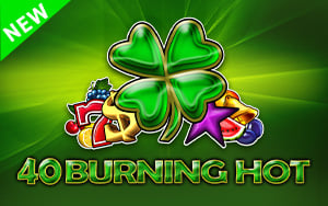 40 Burning Hot 6 reels main thumbnail