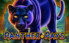 PantherPays
