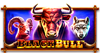 BlackBull main thumbnail