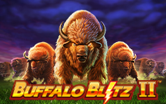 BuffaloBlitzII