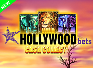 Hollywoodbets cash collect main thumbnail