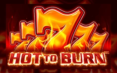 Hot To Burn High Roller