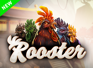 Rooster main thumbnail