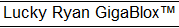 Lucky Ryan GigaBlox