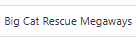Big Cat Rescue Megaways