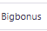 Big Bonus