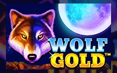 Wolf Gold