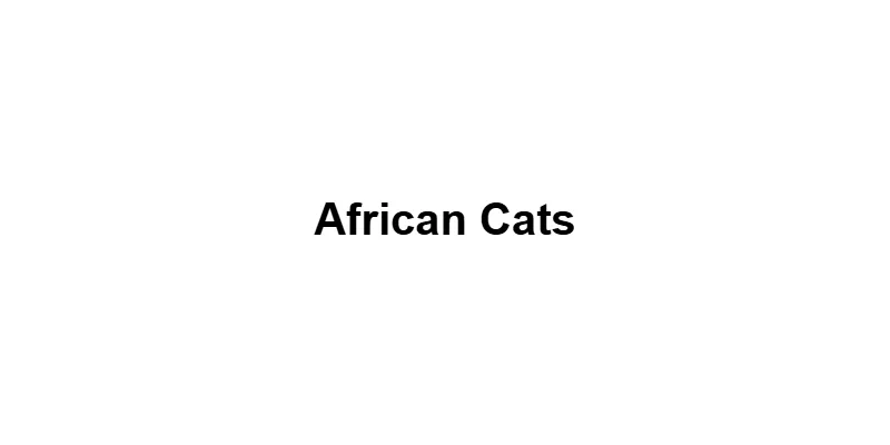 African Cats main thumbnail