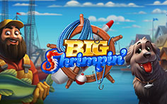 Big Shrimpin'