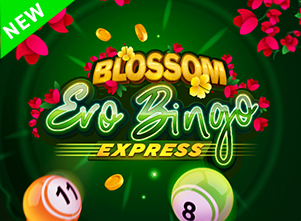 Blossom Evobingo Express