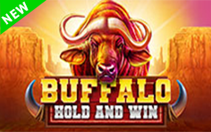 Buffalo Hold and Win