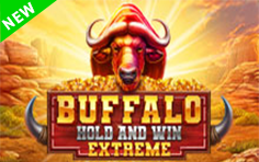 Buffalo Hold and Win Extreme