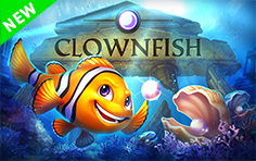Clownfish