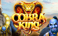 Cobra King