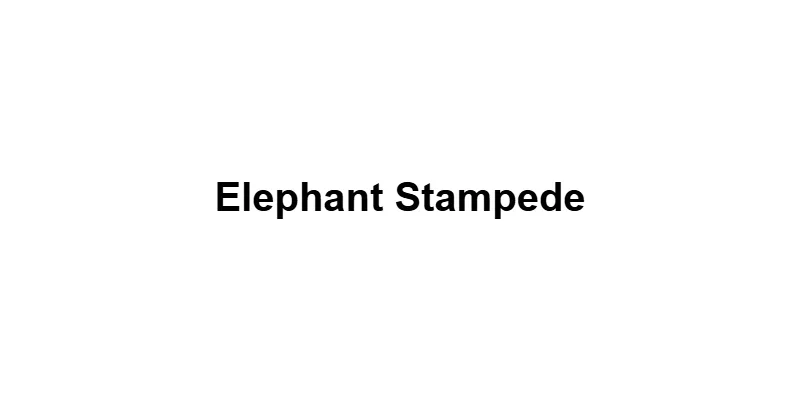 Elephant Stampede main thumbnail