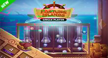 Fortune Islands : Single Player