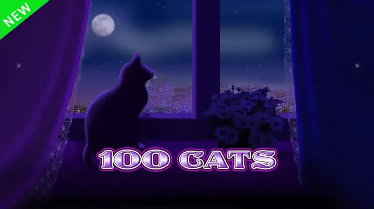 100 Cats