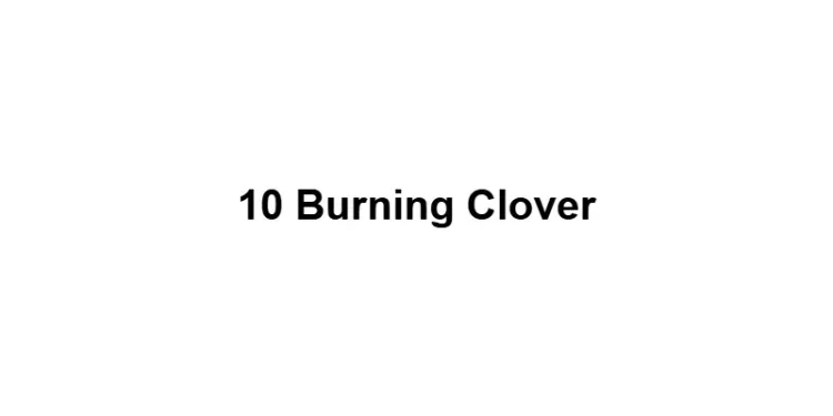 10 Burning Clover