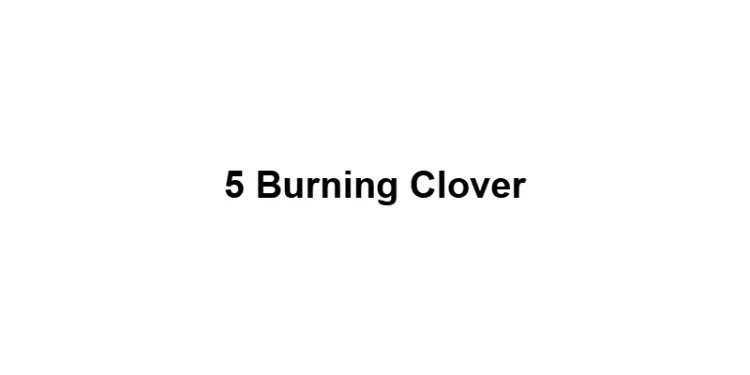 5 Burning Clover