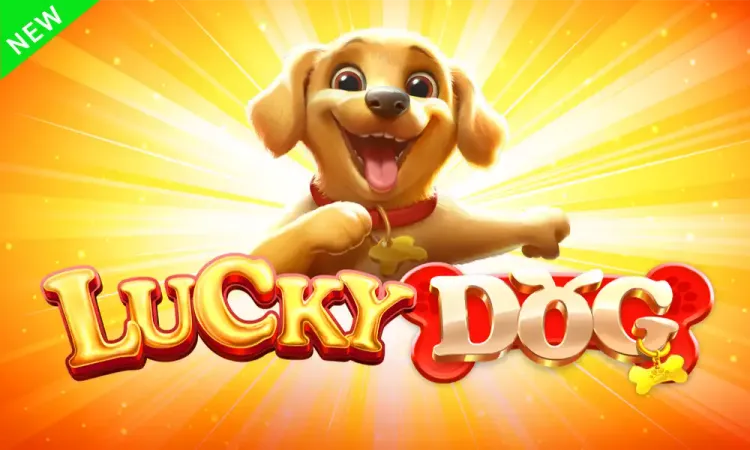 Lucky Dog