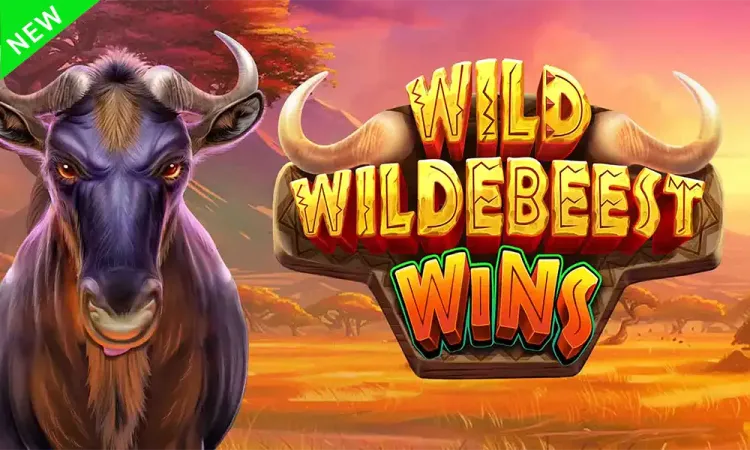 Wild Wildebeest Wins