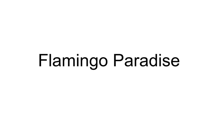 Flamingo Paradise