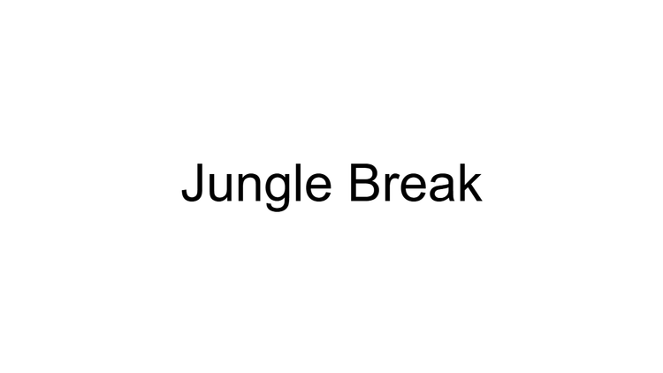 Jungle Break