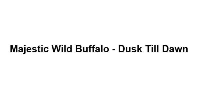 Majestic Wild Buffalo - Dusk Till Dawn