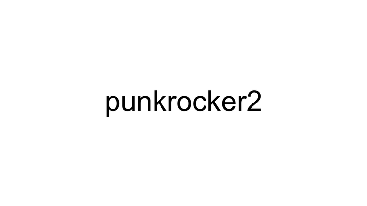 Punk Rocker 2