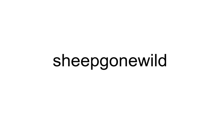 Sheep Gone Wild