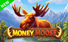 Money Moose