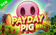 Payday Pig