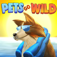 Pet go Wild main thumbnail
