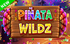 Pinata Wildz