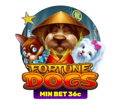 FortuneDogs