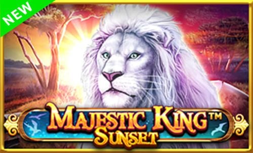 Majestic King - Sunset