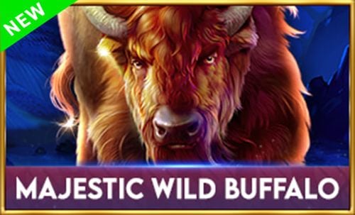 Majestic Wild Buffalo