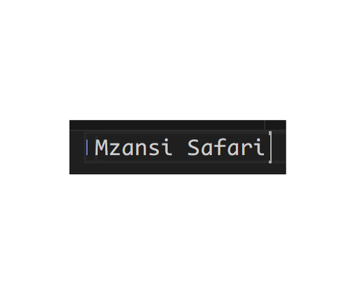 Mzansi Safari