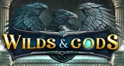 Wilds & Gods 