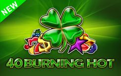 40 Burning Hot 6 reels