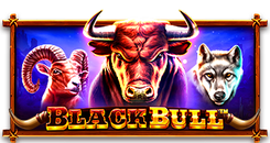 BlackBull