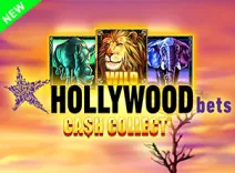 Hollywoodbets cash collect