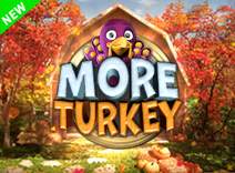 More Turkey
