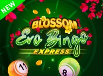 Blossom Evobingo Express