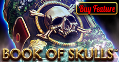 Book Of Skulls