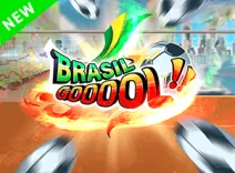 Brasil Goool!!!