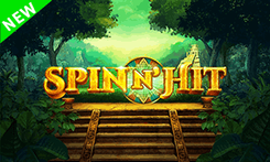 SpinnHit
