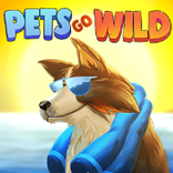 Pet go Wild