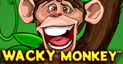 Wacky Monkey